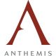 Anthemis